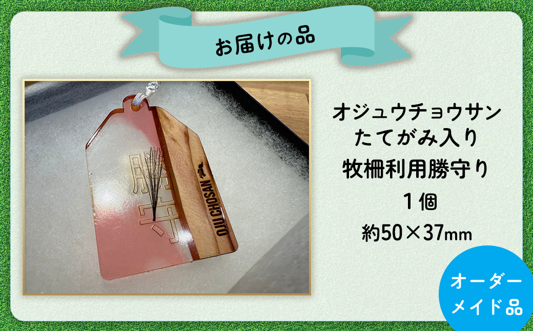 【御守り】オジュウチョウサンたてがみ入り牧柵利用勝守り BRTV001