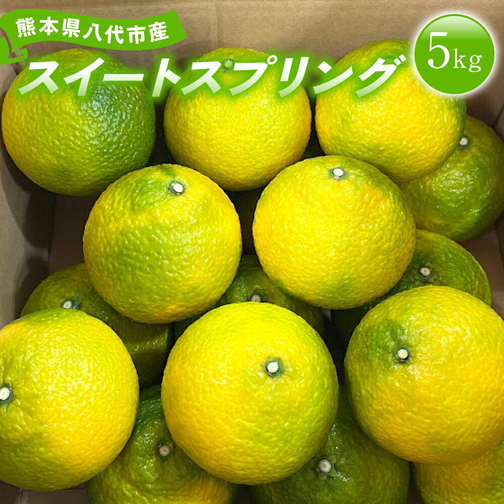 【ふるさと納税】 【先行予約】 熊本県 八代市産 スイートスプリング 約5kg 柑橘 フルーツ 果物 送料無料 【2025年12月上旬より順次発送】