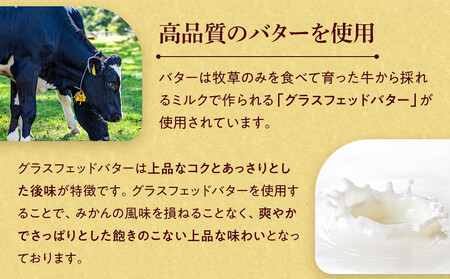 みかんバター 2本入（無添加）アルギットみかん果汁使用 山崎農園 有田川町
