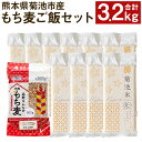 【ふるさと納税】熊本県菊池産 ヒノヒカリ もち麦 セット 合計3.2kg (自然栽培米 300g×10パック/もち麦 200g×1パック) 令和6年産 七城物語 高野さんちのもち麦ごはん 米 お米 もち麦 自然栽培米 特A 小分け 国産 九州産 熊本県産 送料無料