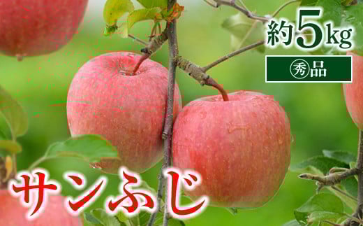 【令和7年産先行予約】 〈家庭用〉 りんご 「サンふじ」 約5kg (13～18玉 マル秀) パック詰 《令和7年11月中旬～発送》 『マルタニ農園』 リンゴ 山形県 南陽市 [1281]