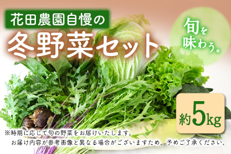 冬野菜セット 約5kg 花田農園《11月上旬から3月中旬頃出荷》白菜 大根 大葉 里芋 春菊 キャベツ 水菜 リーフレタス ブロッコリー ロマネスコ 福岡県 鞍手郡 鞍手町