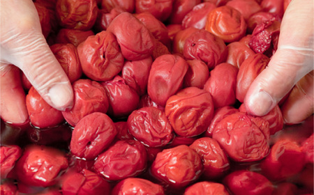 梅干し　「豊の香梅」　贈答用 計1kg（500g×2個） 日田市 / 株式会社矢野農園[ARCF003]