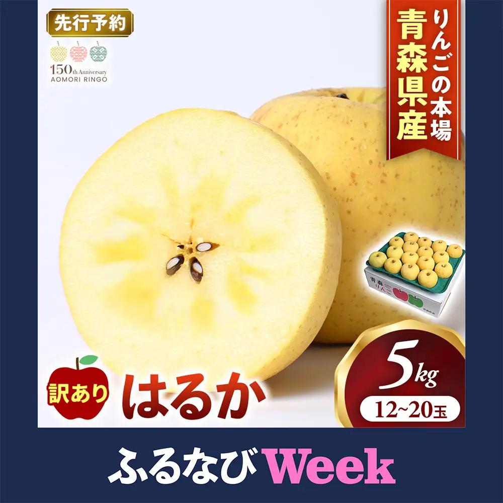 【ふるなびWEEK対象】【訳あり】 青森県産りんご はるか 約5kg 12月上旬～ りんご