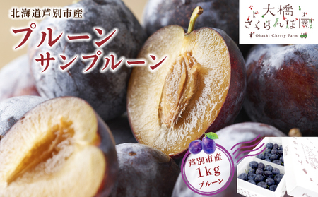 プルーン 北海道 サンプルーン 1kg 大橋さくらんぼ園 生 フルーツ 果物 秋 旬 旬のフルーツ 旬の果物 お取り寄せ 取り寄せ 産地直送 デザート おやつ すもも プラム 冷蔵 芦別市