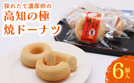 焼きドーナツ 高知の極 6個入 焼き菓子 お菓子 菓子 洋菓子 家庭用菓子 ギフト