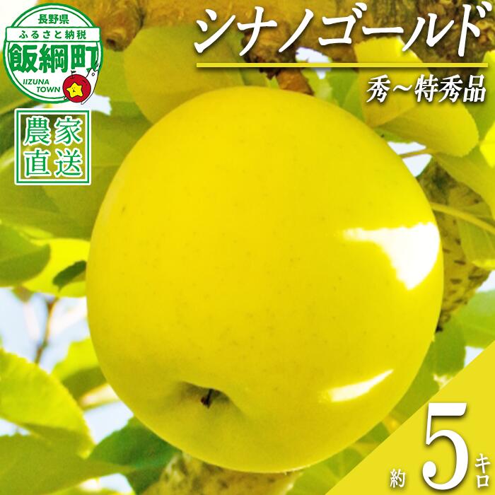 【ふるさと納税】 りんご シナノゴールド 秀 〜 特秀 5kg 永正の地蔵尊神谷農園 沖縄県への配送不可 令和8年度収穫分 長野県 飯綱町 〔 信州 果物 フルーツ リンゴ 林檎 長野 17000円 予約 農家直送 〕発送時期：2026年11月中旬〜2026年12月下旬 {***}