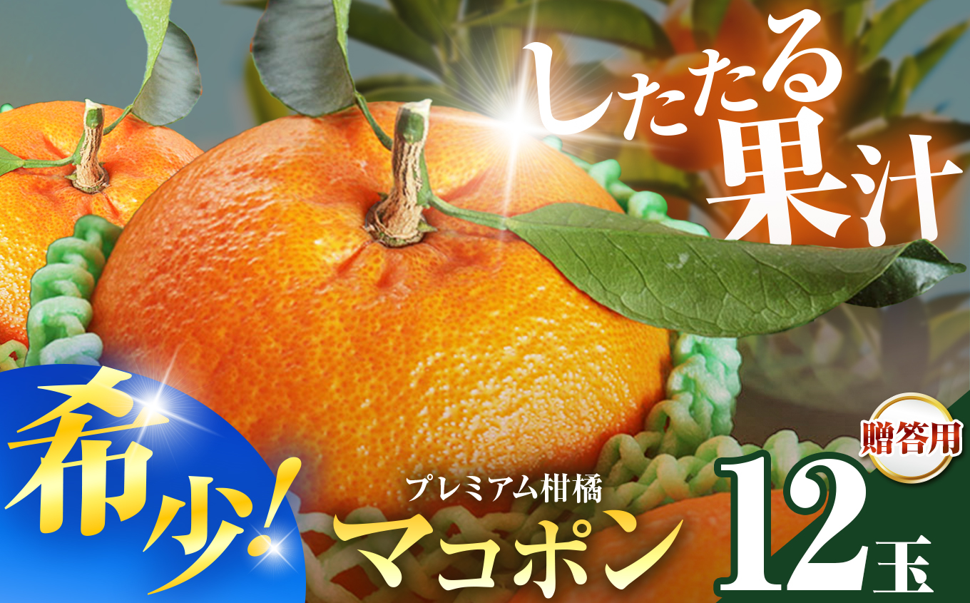 【JALふるさと納税限定価格】紅モンスター マコポン贈答用 12玉 | フルーツ 果物 くだもの 果実 柑橘 柑橘類 まこぽん マコポン オレンジ ゼリーオレンジ 不知火 国産 中津市産 産地直送 大分県 中津市