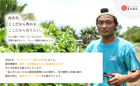 穫れたて新鮮冷凍！西表島の完熟ピーチパイン 500g×3袋