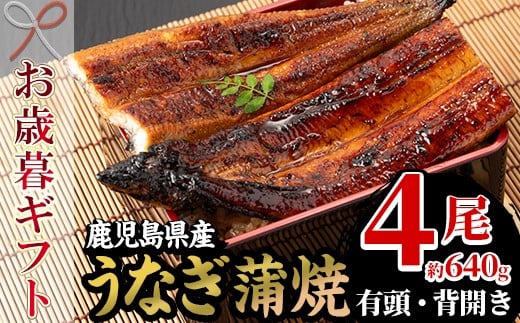 【令和7年お歳暮対応】厳選！ 国産 鹿児島県産 うなぎ 蒲焼 4尾 大 合計約640g 新仔うなぎ使用 こだわりの地焼き！ 冷凍うなぎ 秘伝のタレ 付き うな重 うな丼 きざみ鰻 うなぎのせいろ蒸し弁当 贈答 ギフト【南竹鰻加工】【SC-022H】
