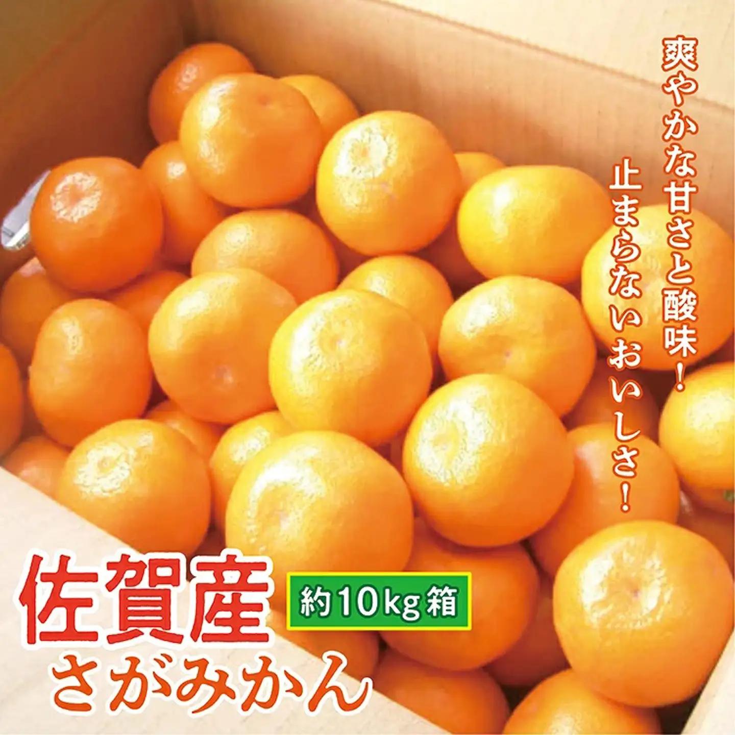 佐賀産 さがみかん 約 10kg 箱 b-388
