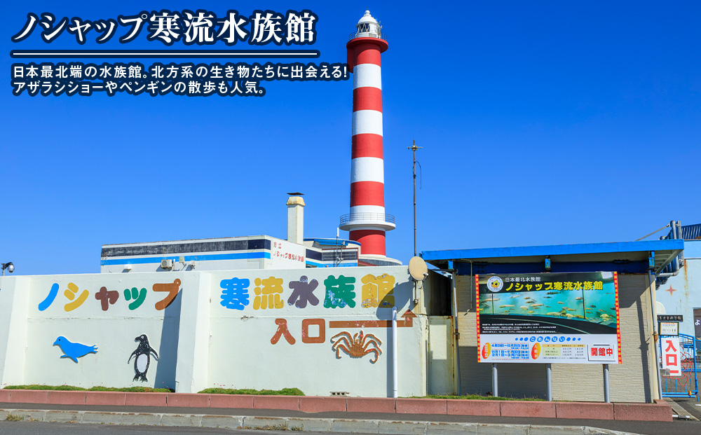 北海道 稚内市☆応援寄付金5000円☆【返礼品なし】