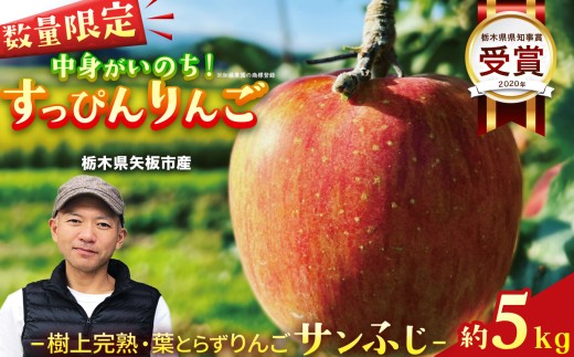 樹上完熟・葉とらず・りんご [ サンふじ ] 5kg | すっぴんりんご 果物 フルーツ ふじ さんふじ 産地直送 栃木県産