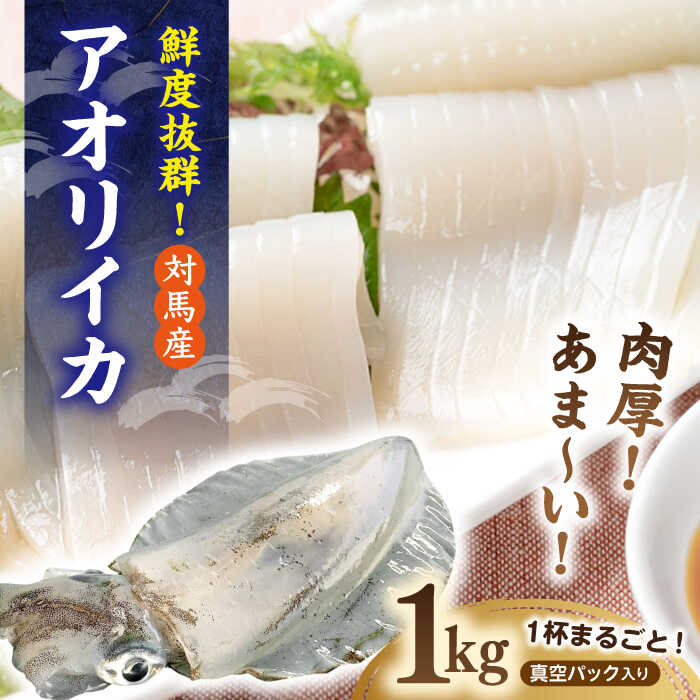 【ふるさと納税】【最速発送】長崎県 対馬産 天然 アオリイカ 1杯【対馬市】【エムズスタイル】 新鮮 冷凍 直送 イカ 水イカ 刺身 煮付け[WCN003] スピード発送 最短発送