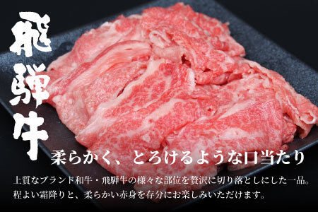 【3月お届け】飛騨牛 4等級以上 切り落とし 560g 牛肉 和牛 肉 切落し ブランド牛 4等級 5等級 国産 10000円