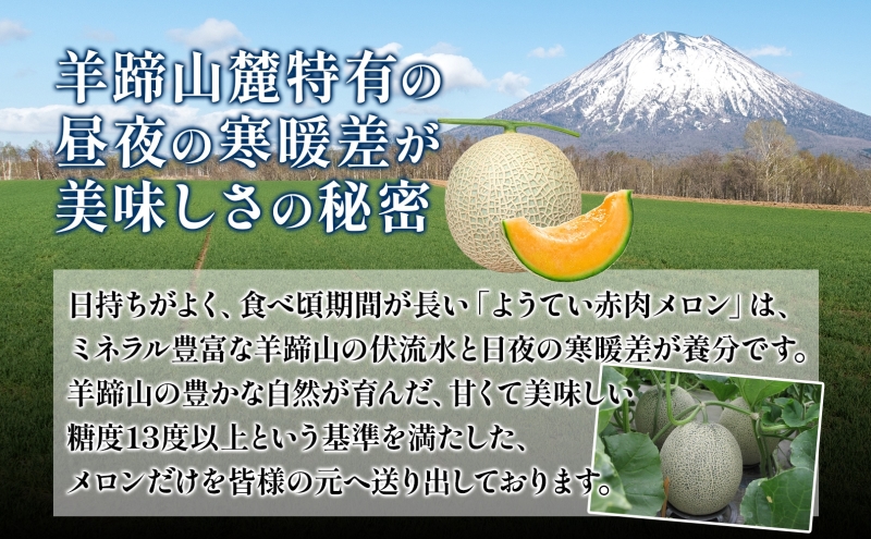 北海道 赤肉メロン 約1.6kg 2玉 メロン 赤肉 果物 フルーツ 甘
