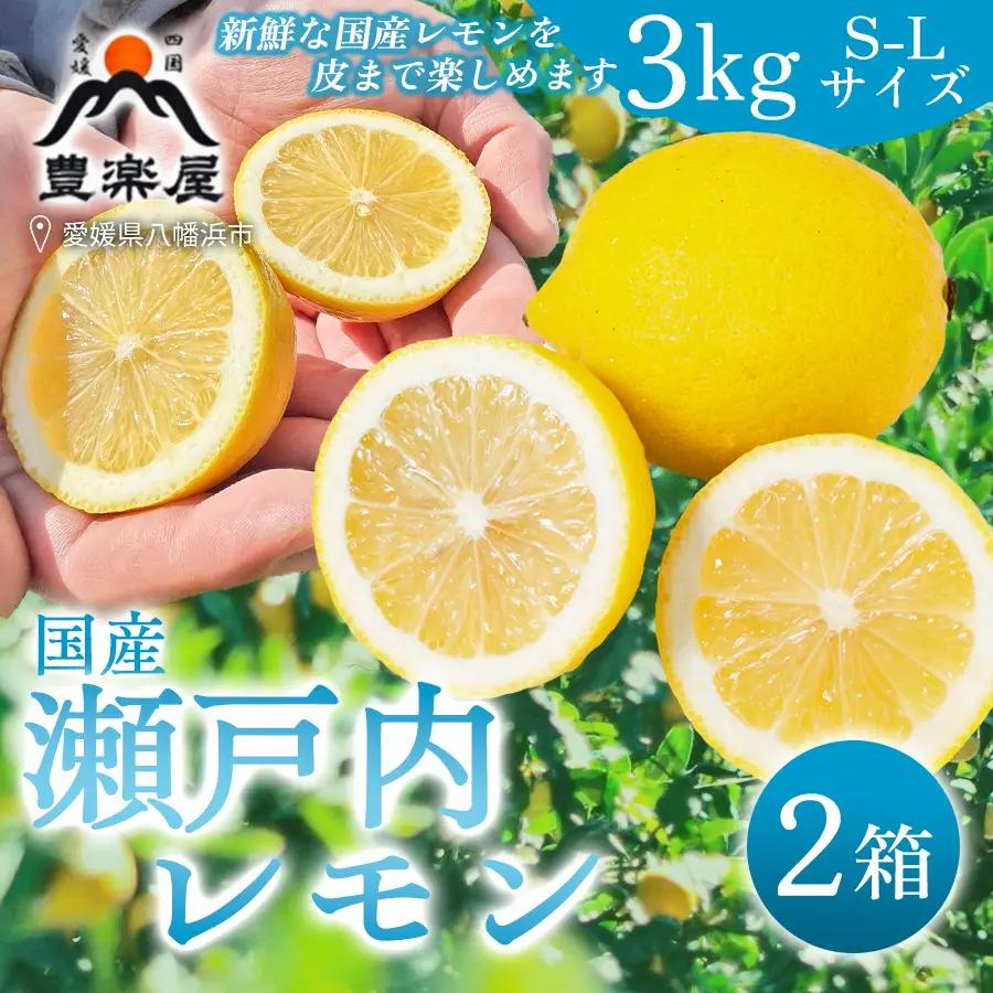 【先行受付】【防腐剤・ワックス不使用で安心】真穴産地直送の国産レモン 3kg×2箱(S~Lサイズ)【E98-6】 YWTBU006