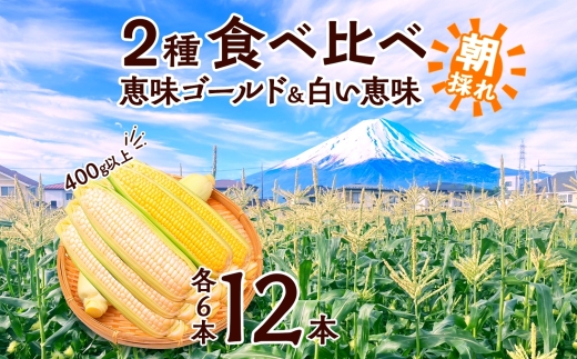 とうもろこし イエロー ＆ ホワイト 2種 食べ比べ 恵味ゴールド 白い恵味 400g以上 各6本 計12本 野菜 おやつ 旬 産地直送 送料無料 湖南野菜出荷組合 山梨県 富士河口湖町 FEM009