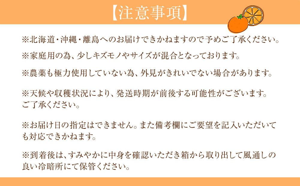 家庭用 森本農園の手選別 八朔 約6kg 和歌山県産 サイズ混合 ［北海道・沖縄・離島配送不可］［2026年1月中旬から2月中旬頃順次発送予定］［RN115］