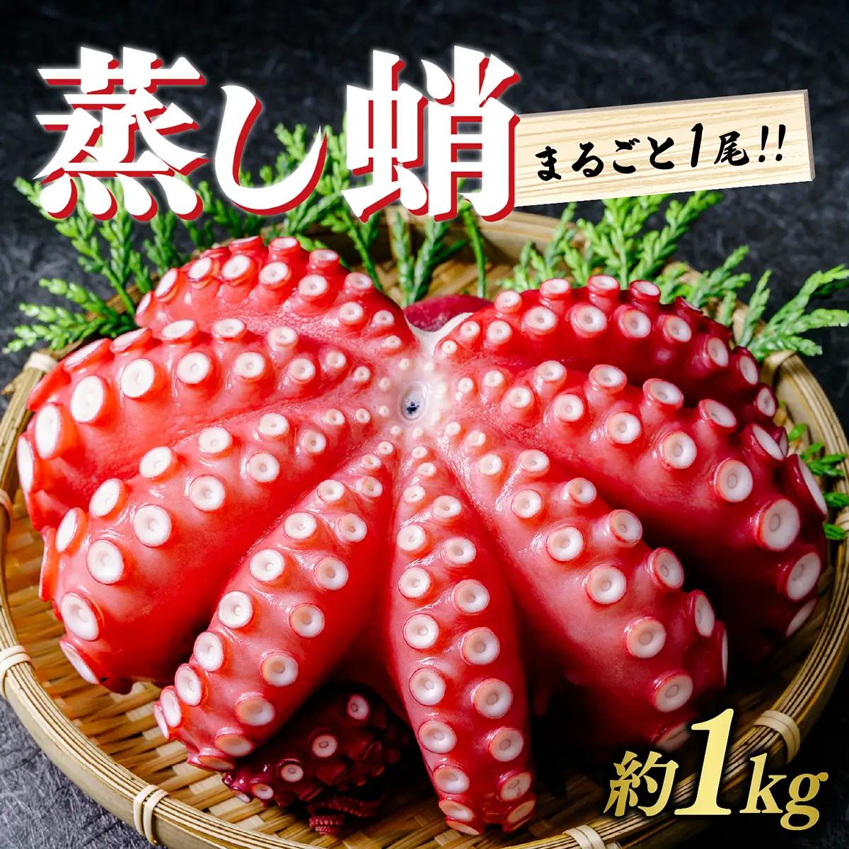 ＜冷蔵：要着日指定＞蒸し蛸 まるごと1尾(約1kg) | 刺身用 茹でダコ タコ たこ 刺身 蛸 
