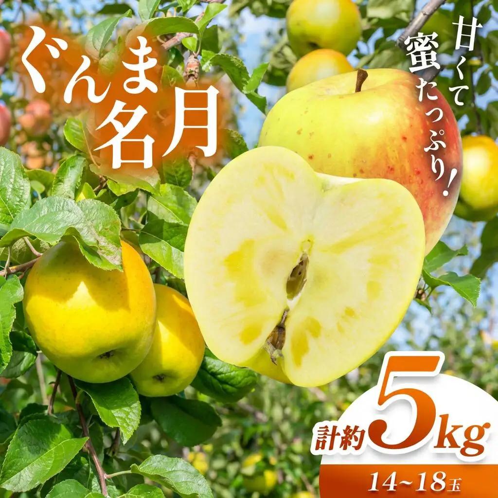 【2026年先行予約】信州産 塩尻エールりんご！ 果汁たっぷり ぐんま名月 約5kg（14～18玉）11月上旬～11月下旬頃にかけて順次発送予定訳あり