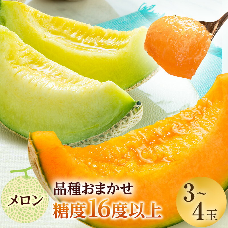 【ふるさと納税】【先行予約2025年産】津軽産 減農薬栽培メロン 3～4玉 糖度16度以上保証！ 果物類 メロン青肉 フルーツ メロン赤肉 　お届け：2026年7月20日～2026年8月25日