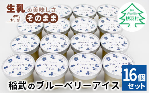 NEW★農薬・除草剤不使用！皮ごと使用！30品種をブレンドした ブルーベリー アイス(80ml)×16個入り