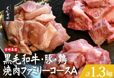 宮崎県産 牛・豚・鶏 焼肉ファミリーコースA 計1.3kg（牛肉 豚肉 鶏肉 和牛 ロース モモ ウデ 焼肉 小分け 人気）