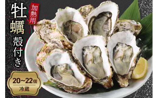 【先行受付】【2026年１月より発送】中島水産株式会社 加熱用 生牡蠣（殻付き）20～22個（軍手、ナイフ付き）　ku002-002-25