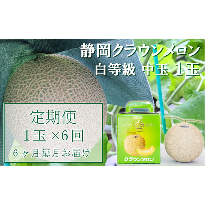 クラウンメロン【並（白等級）】中玉（1.3kg前後）1玉入り 定期便6ヶ月 人気 厳選 ギフト 贈り物 デザート グルメ 果物 袋井市