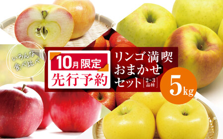 【2026年10月限定 先行予約】 家庭用 リンゴ満喫おまかせセット 約 5kg | ヤマモ農園