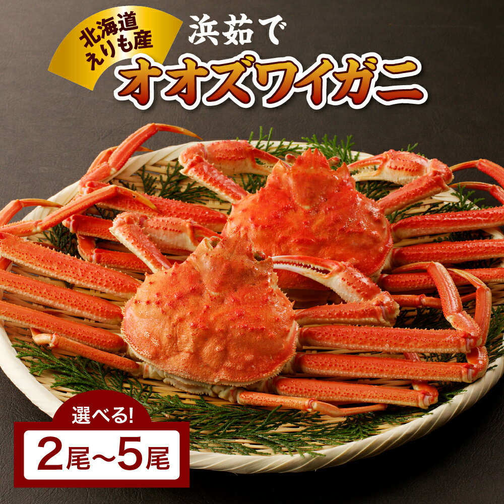 【ふるさと納税】【12月9日入金分まで 年内配送 受付中！】高評価 浜茹で オオズワイガニ 北海道産 ( 選べる 2尾 600g / 3尾 900g / 4尾 1200g / 5尾 1500g ) かに 蟹 大ズワイガニ ズワイガニ ズワイ ボイル かにみそ 蟹みそ 姿 年末 年内発送 国産 北海道 えりも町