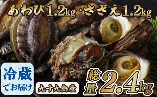 
                  九十九島産 あわび さざえ セット 2.4kg ( 鮑 1.2kg 栄螺 1.2kg ) 産地直送 新鮮 鮑 アワビ 魚貝 魚介 貝 海鮮 長崎県 佐世保市
                