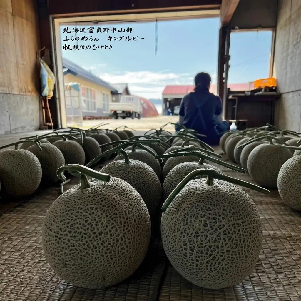 2027年夏発送 富良野 メロン キングルビー 秀大2玉 計4kg以上 赤肉