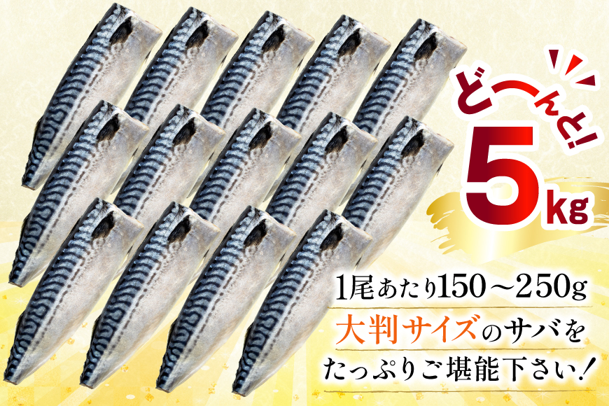 訳あり 塩サバ フィレ 5kg [足利本店 宮城県 気仙沼市 20565496] 魚介類 魚 海鮮 大容量 サバ さば 鯖 サバフィレ サバフィーレ 鯖フィレ 切り身 冷凍 訳アリ わけあり トロサバ