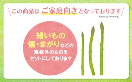 Y18-23 【訳あり】清流・有機肥料使用 アスパラガス(夏芽) 1kg 【2026年6月より順次出荷】