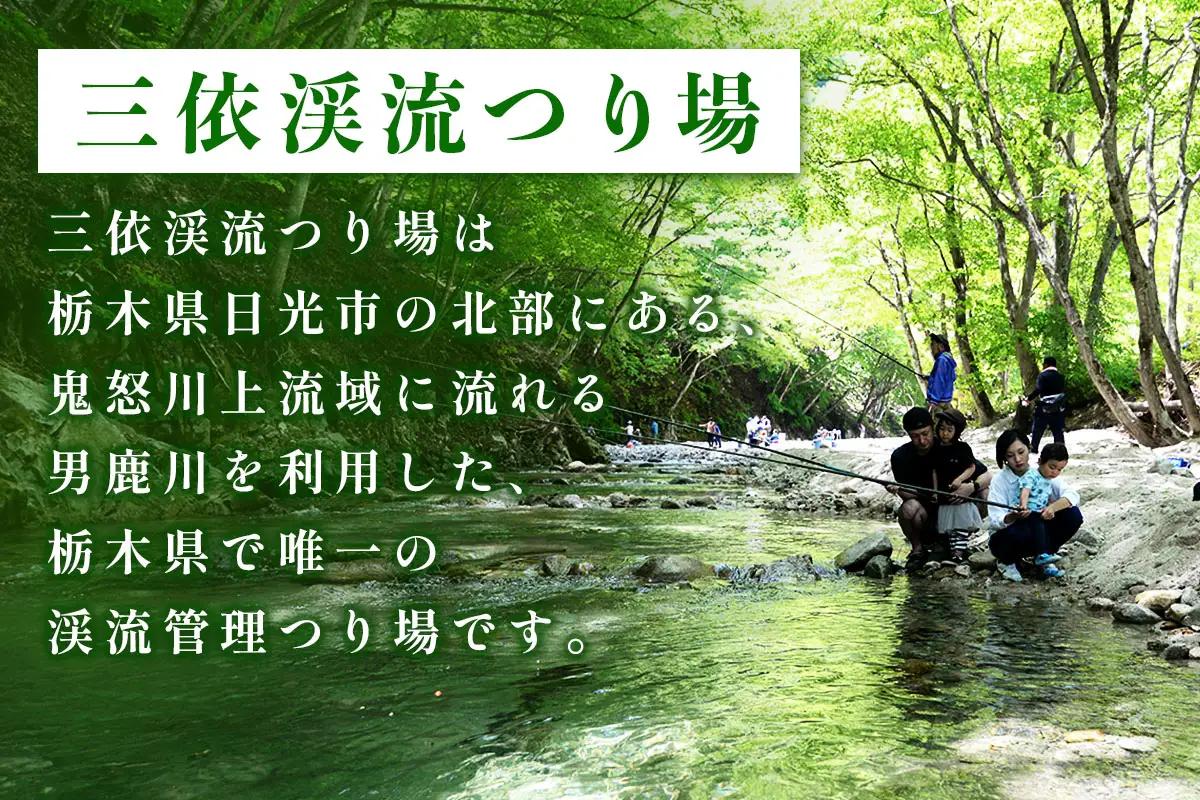 三依渓流つり場 渓流の恵み詰め合わせセット [0892]