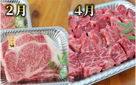 全5回定期便 大満足 ステーキ三昧 定期便 Meat you Z-047 牛肉 牛肉