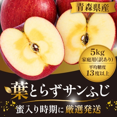 11-12月蜜入り時期に発送! 平均糖度13度以上 葉とらずサンふじ 約5kg 訳あり 青森 りんご【配送不可地域：沖縄県】【1740610】