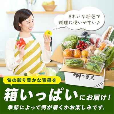ふるさと納税 御坊市 紀州の野菜・果物セット(15〜20品目詰めわせ) |  | 02
