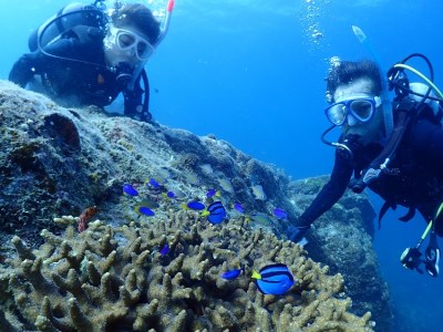 【初心者ダイバー・ブランクダイバー大歓迎】 2ボートダイビング（1名）【ダイバー（Cカード所持者）限定】 スキューバダイビング チケット ダイビング 体験 【kdc001A】