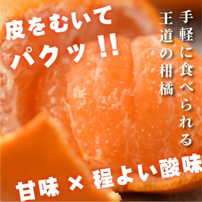今治産柑橘 温州みかん 約4kg 愛媛の大人気果物【B90】