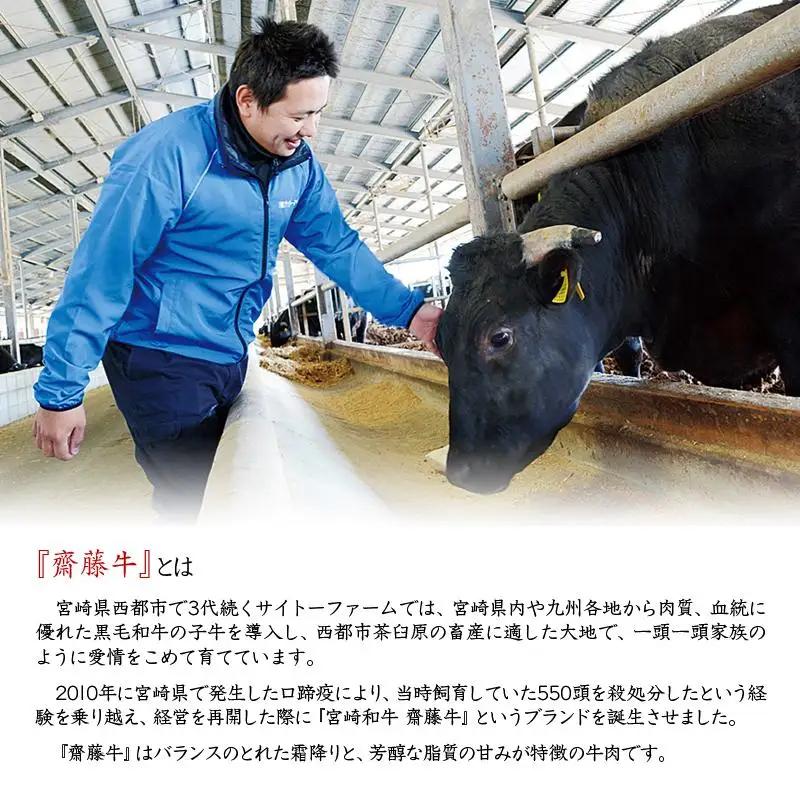 黒毛和牛 「宮崎和牛 齋藤牛」サーロインステーキ 250g×2枚 合計500g 国産牛肉＜5-16a＞