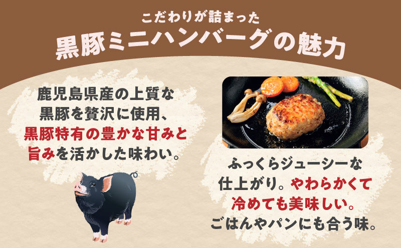 鹿児島県産黒豚 生ハンバーグ詰合せ　K356-005