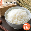 【ふるさと納税】令和6年産 ヒノヒカリ 精米 5kg 奈良県産 | 新米 米 こめ コメ お米 白米 おこめ 人気 令和6年 ひのひかり 奈良県 平群町 ライス