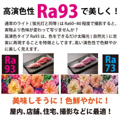 ふるさと納税 川口市 DC12 COB　クリップパネルライト　フレキシブルブラック　Ra93　DCC001-FKC |  | 03