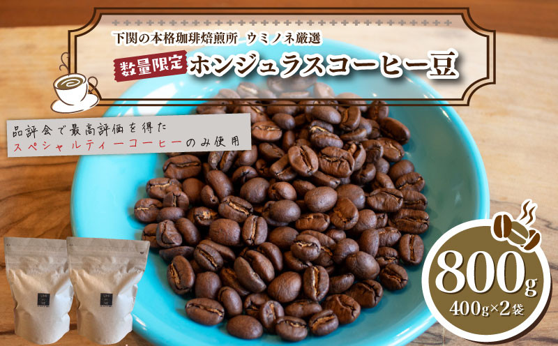 
            訳あり コーヒー豆 800g ( 400g × 2袋 ) 数量限定 選べる 煎り方 深煎り 中深煎り 浅煎り ホンジュラス 珈琲 自家焙煎 下関 山口 
          