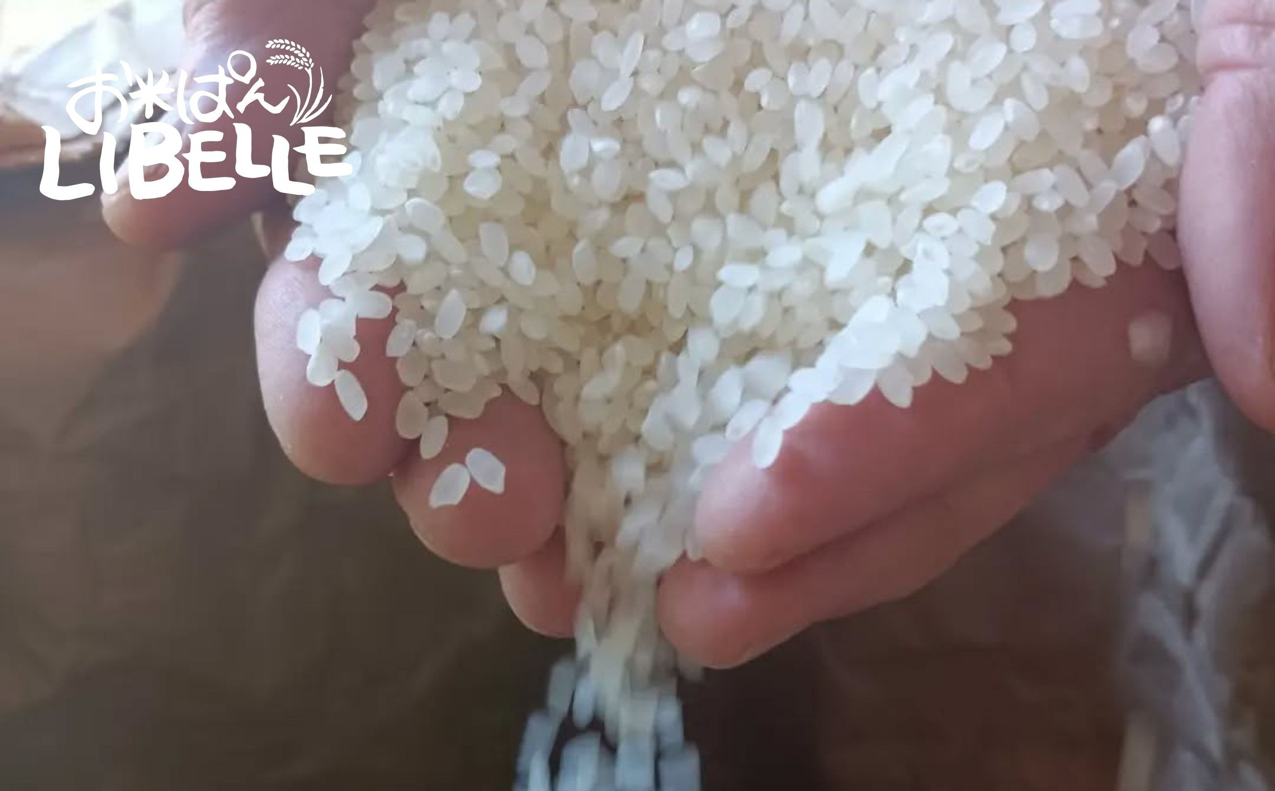 生の米粒からつくった「パン」で、「米粉パン」とは異なります。