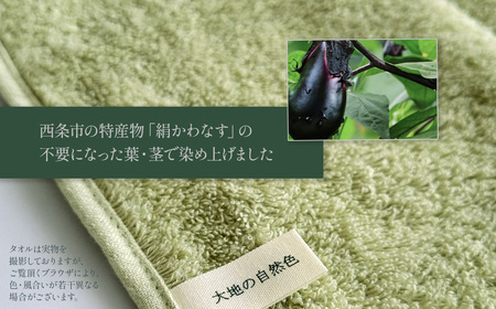 「地域の自然を染めるタオル」 タオルハンカチ 3枚セット（3色）