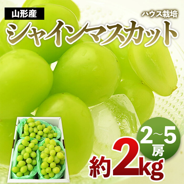 【ふるさと納税】[ハウス栽培]山形のシャインマスカット 秀品 約2kg(2〜5房) 【令和7年産先行予約】FS24-640 くだもの 果物 フルーツ 山形 山形県 山形市 お取り寄せ 2025年産